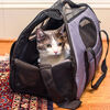 Gen7Pets Carry-Me Pet Carrier - Grey Shadow