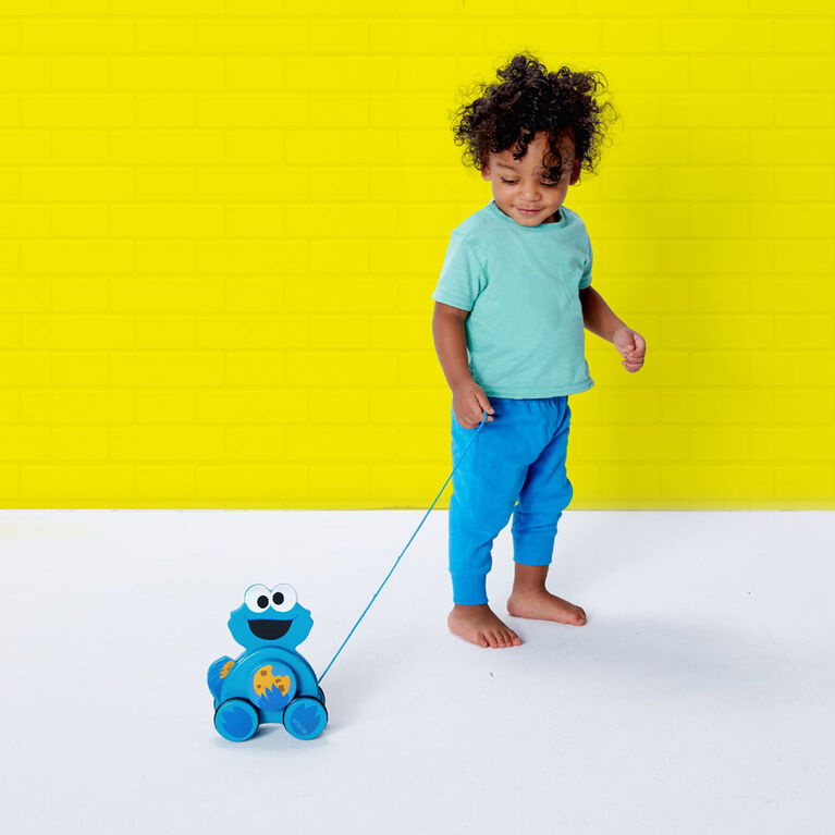 Snack & Stroll Cookie Monster Wooden Pull Toy