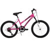 Avigo Ultrax - 20 inch Mountain Bike  - R Exclusive