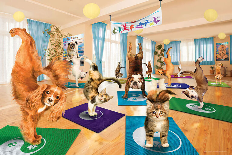 Eurographics Puzzles Yoga Studio 300-Piece Puzzle