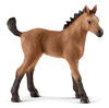 Horse Club - Quarter Horse Foal