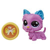 Littlest Pet Shop Lucky Pets, Surprise chanceuse en boîte surprise