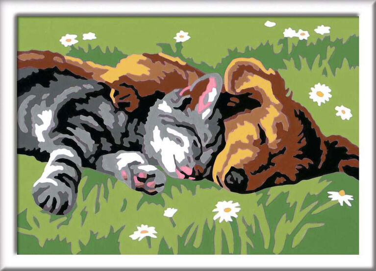 CreArt Kids Sleeping Cat and Dog