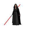 Star Wars The Black Series Rey (Dark Side Vision) Toy