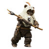 Star Wars The Black Series Paploo, Star Wars: Return of the Jedi 6-Inch Action Figures