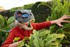 Jurassic World Rebirth T-Rex Rage N Roar Mask with LED Light Up Eyes Feature, 3 Level Effects