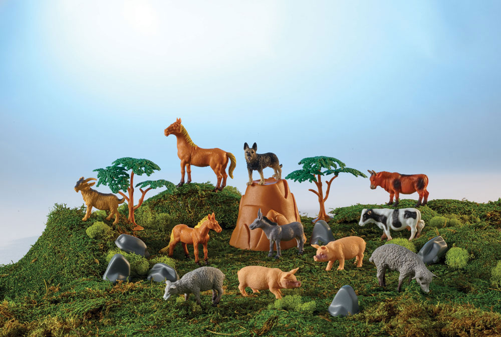 Animal Farm Bucket Collection 20 Piece R Exclusive Toys