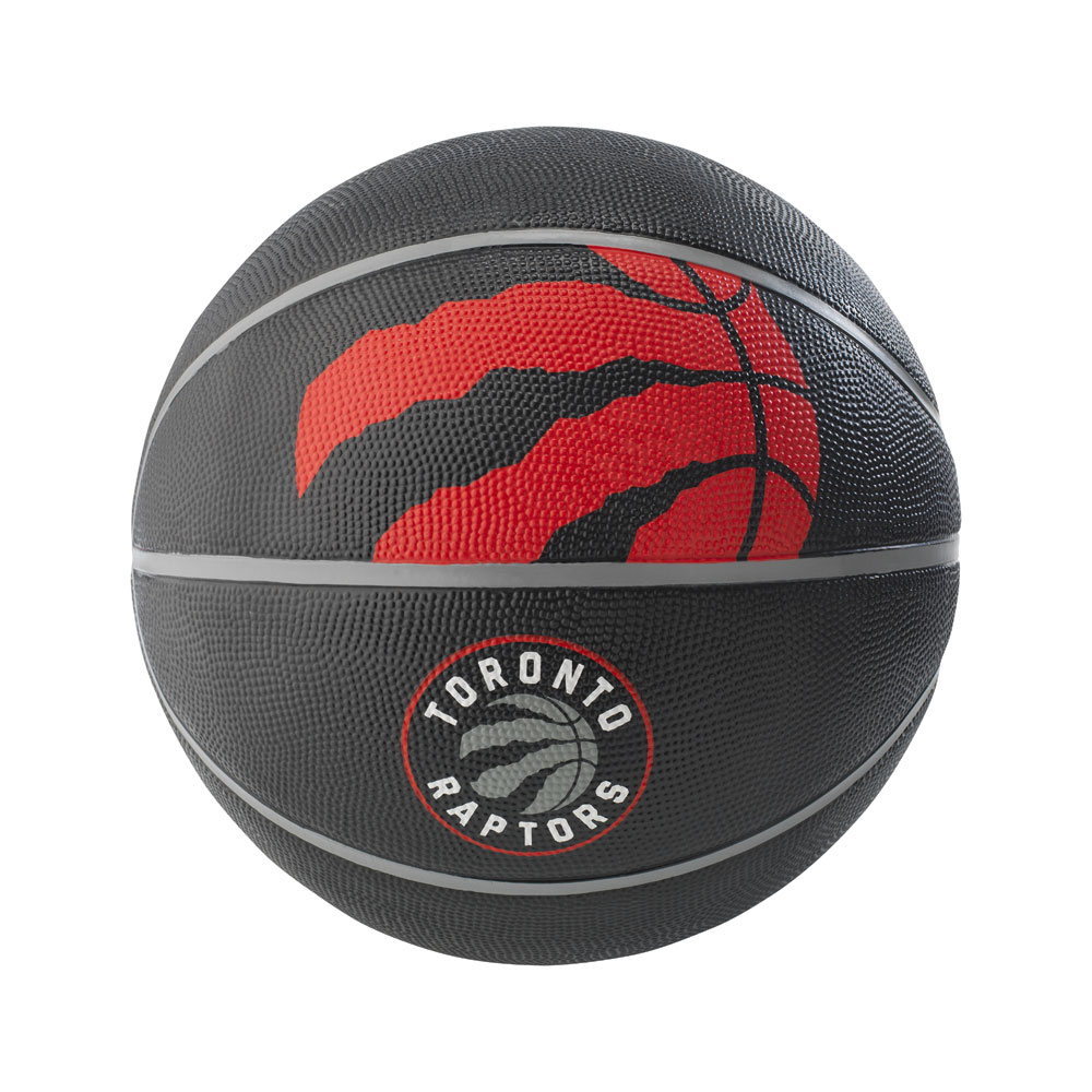 raptors signed basketball