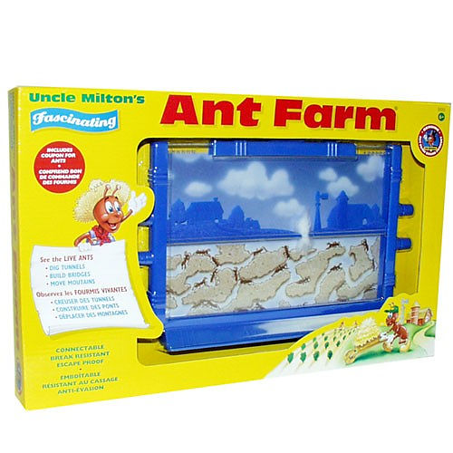 toy ant farm