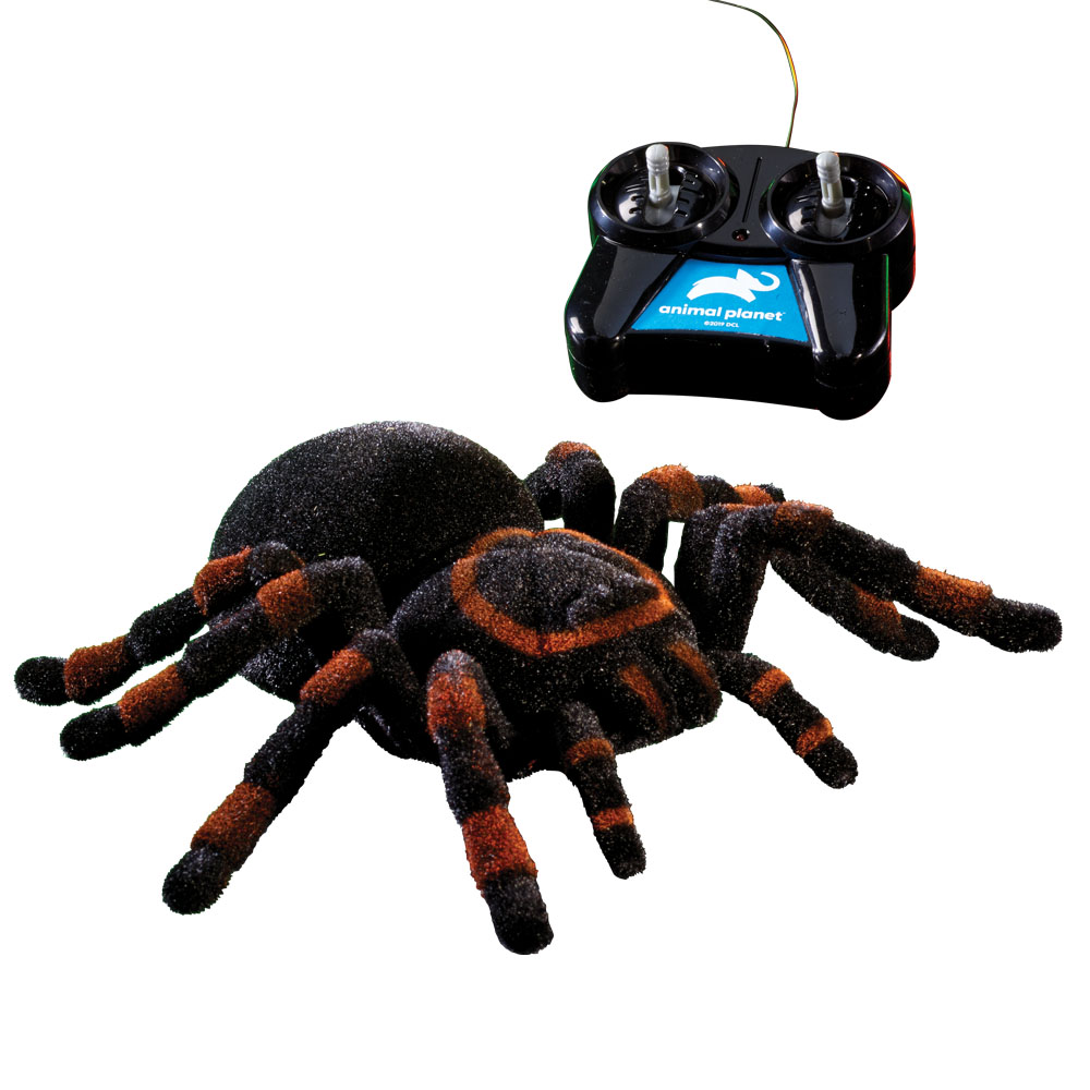 animal planet remote control spider