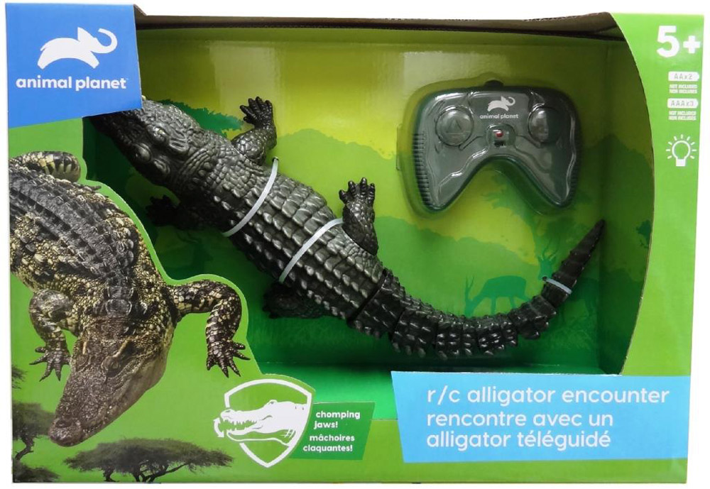 Animal Rencontre avec un alligator téléguidé Notre